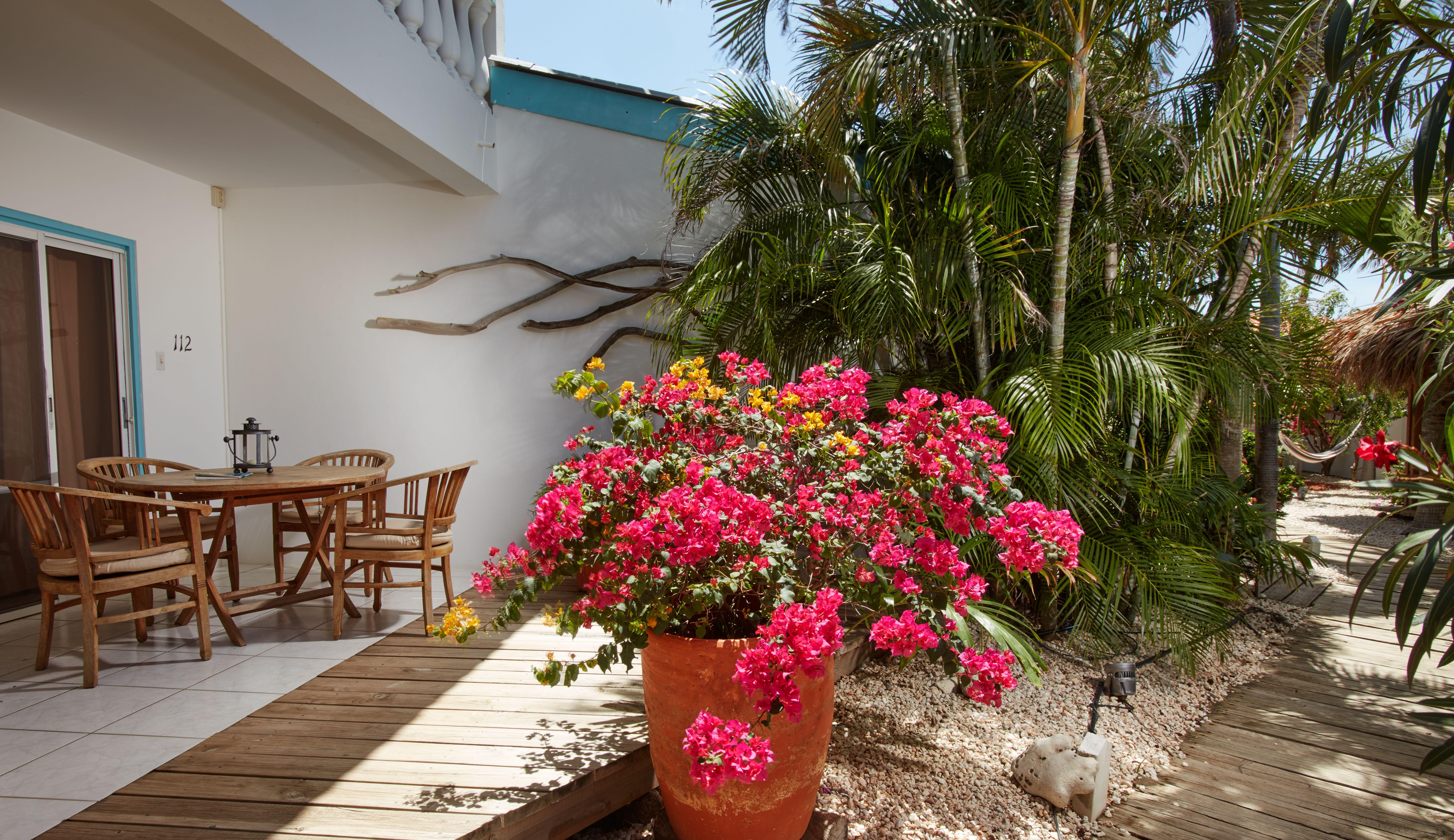 Paradera Park Aruba Oranjestad Esterno foto